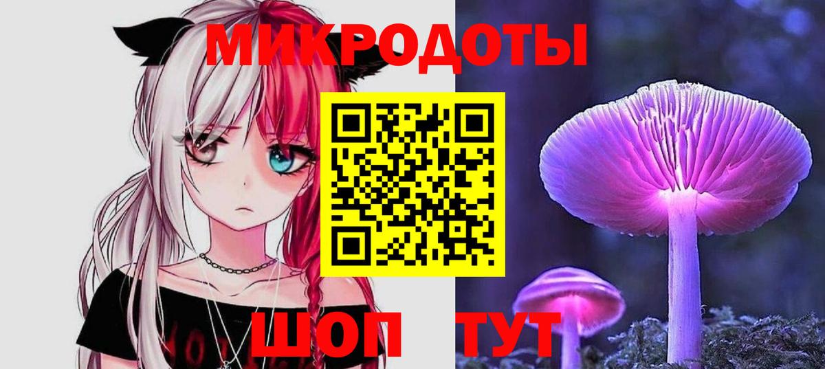 Псилоцибиновые грибы Psilocybe Ишимбай